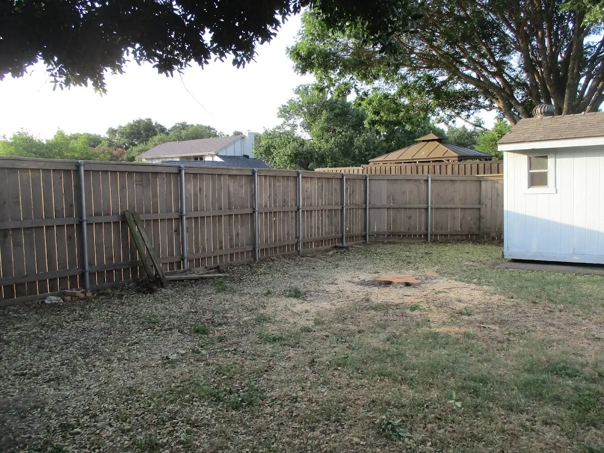 Cleared yard after professional tree removal in Silver Lake